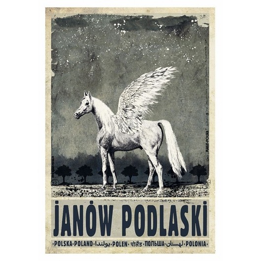 kartki okolicznościowe - wydruki Kartka pocztowa - Janów Podlaski