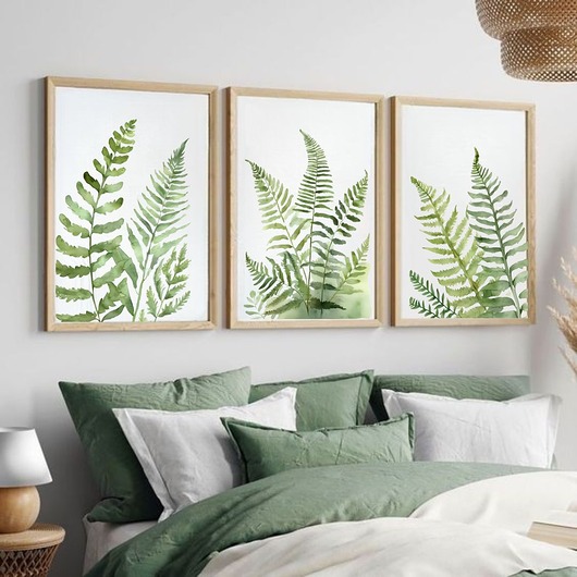 grafiki i ilustracje ZESTAW 3  botaniczne akwarela paproć