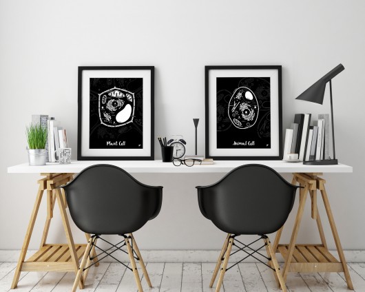 Zestaw Małego Biologa - plakaty 30x40 cm  Follygraph
