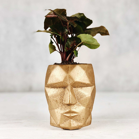 Doniczka B-Head Geo Gold Betonove