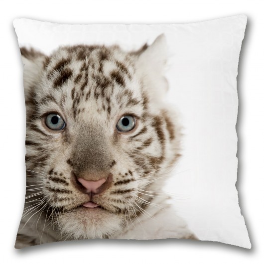 poduszki z grafiką Poszewka"TIGER"