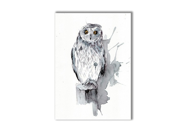 grafiki i ilustracje Grafika ręcznie malowana "Sowa"