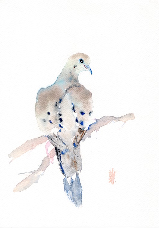 obrazy Oryginalna akwarela. Gołąb