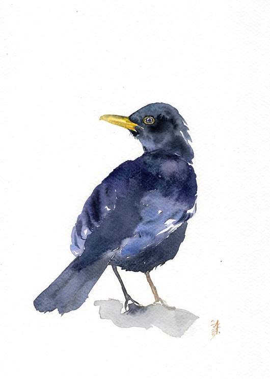 obrazy Oryginalna akwarela. Kos