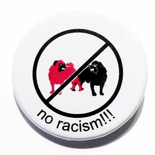 No racism Pink Pug Design