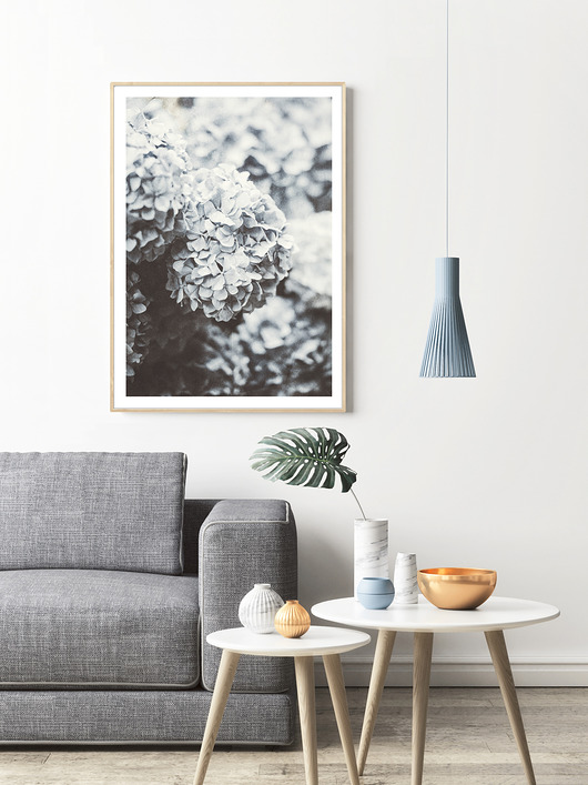 Blue Flower,kwiat fotografia, wejustlikeprints
