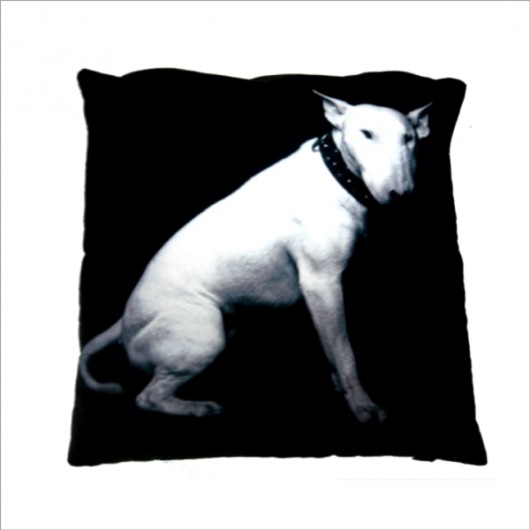 Poduszka z Pit Bullem Gaul Designs
