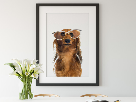 Plakat Jamnik - 50x70cm ScandiMyLove