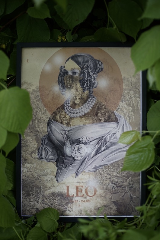 Leo zlepki sklejki