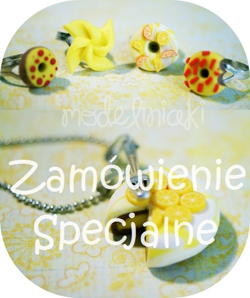 Zamówienie specjalne Modeliniaki