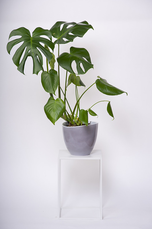 Kwietnik RODOS 35 cm,BIAŁY Wzorek Systems