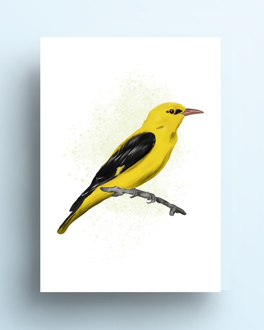 grafiki i ilustracje Wilga