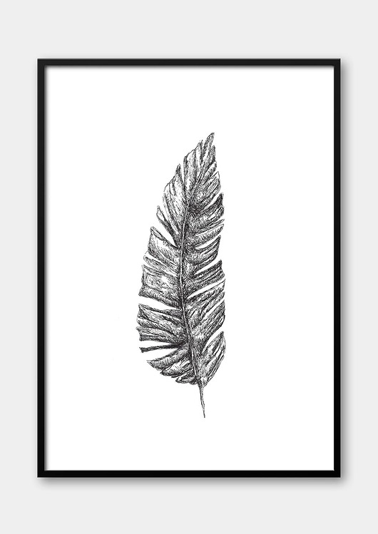 plakaty Plakat Botaniczny
