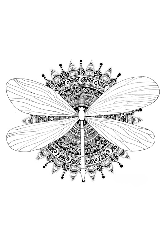 grafiki i ilustracje Mandala nr 12, Ważka, reprodukcje