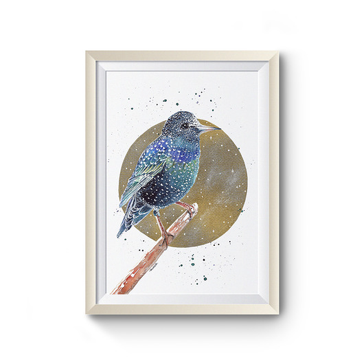 obrazy Szpak i złoto