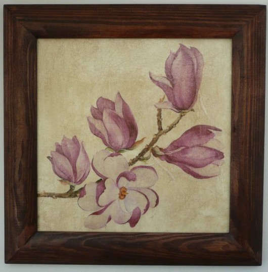 magnolie Monika Sibiga