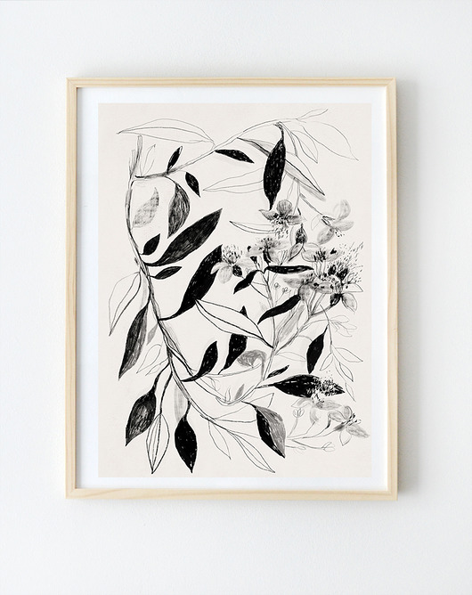 ilustracja botaniczna | 21x30 cm Anita Tomala
