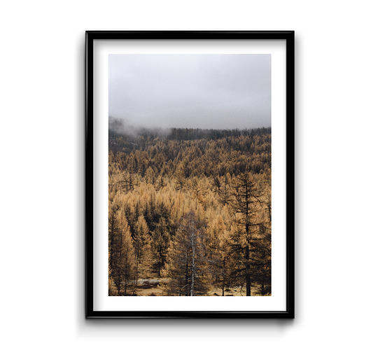 Jesień #3 - plakat  Bury Lis