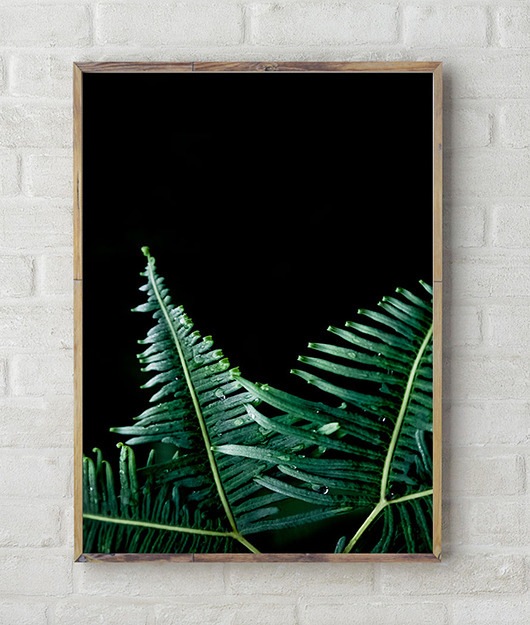 Plakat GREEN/ Fern Szare Kropki