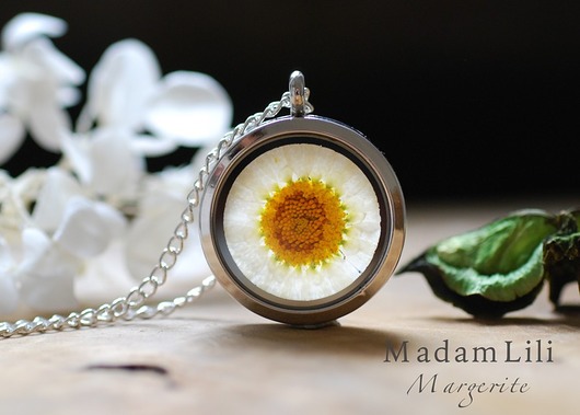 ♥ Prawdziwa margaretka ♥ Medalion MadamLili