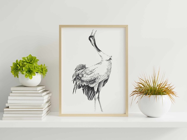 grafiki i ilustracje Żuraw