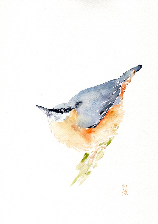 obrazy Oryginalna akwarela. Kowalik