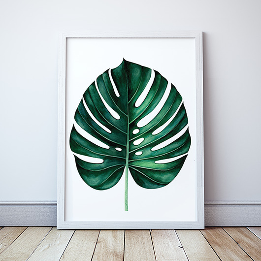 Plakat Liść Monstera Wallie Studio Dekoracji