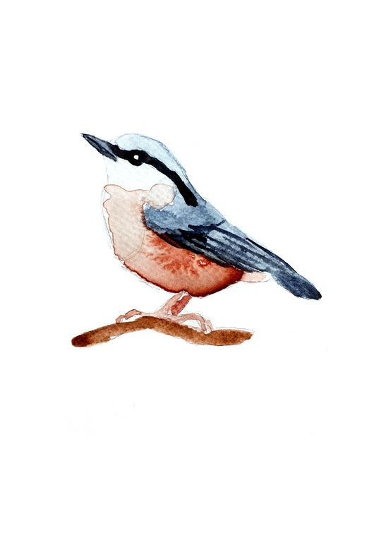 grafiki i ilustracje Plakat Kowalik