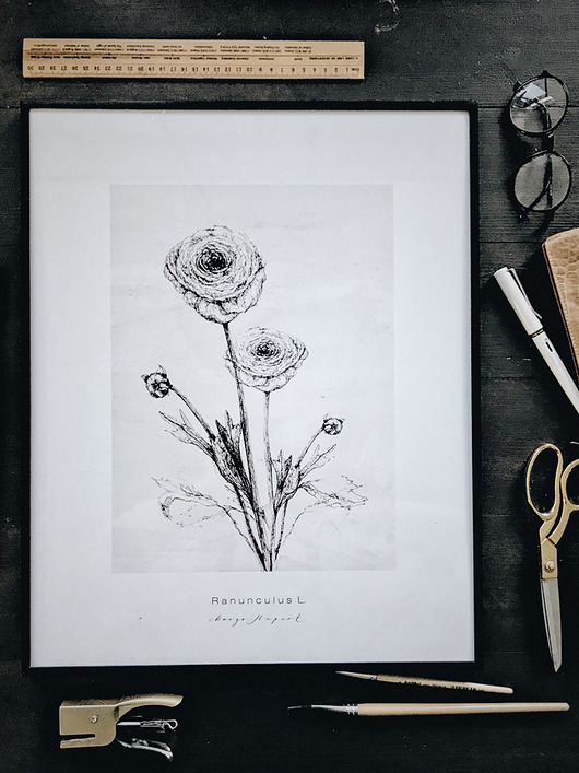 Jaskry , print 50x70 cm Margo Hupert