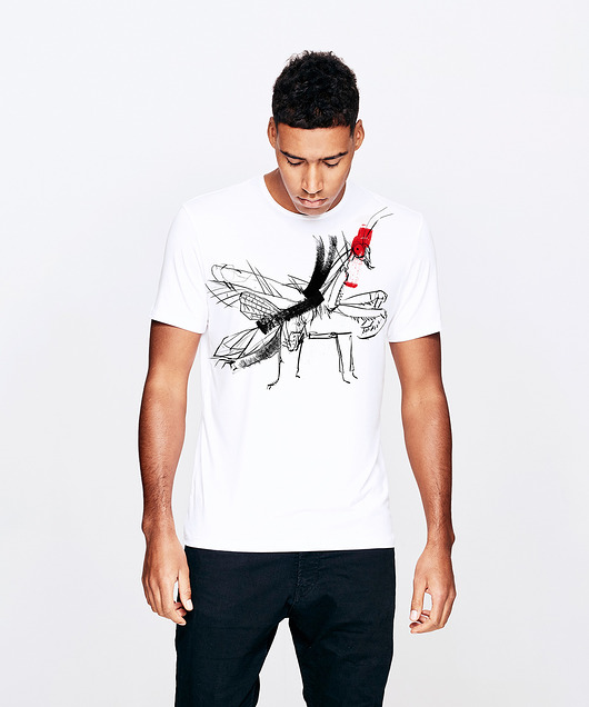 t-shirty męskie Hierodula Mantis T-shirt Man