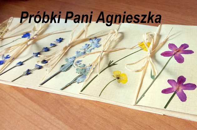 Próbki PAni Agnieszka LOVEnda