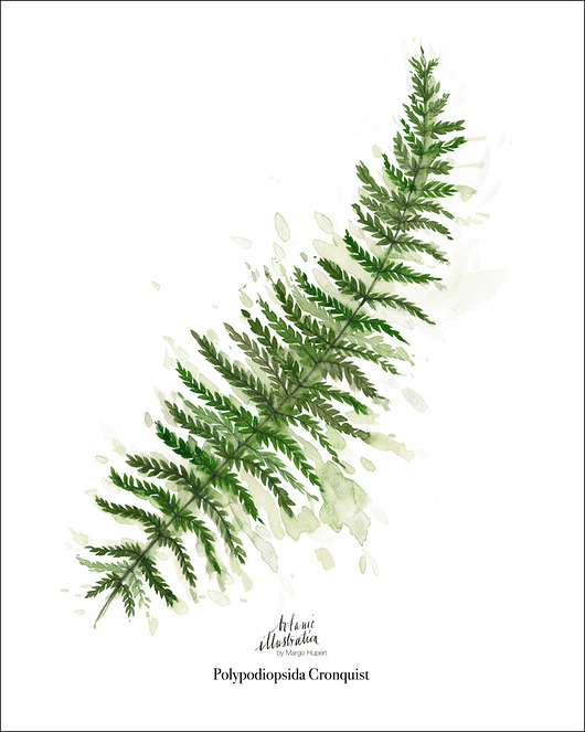 Paproć { 40x50 } Margo Hupert