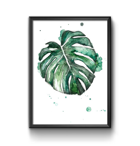 Monstera deliciosa, 42x30, A3 JUST ILUST Justyna Małczak