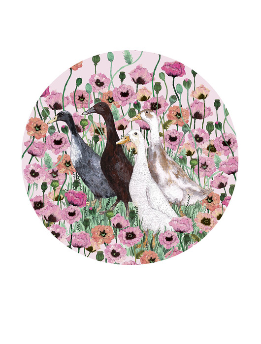 grafiki i ilustracje Biegusy w makach- grafika- ilustracja- ptaki- kaczki