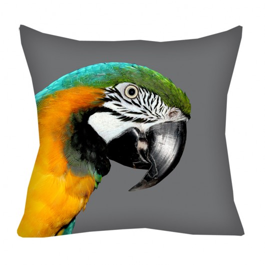 Promocja 2w1 wzór - papuga i pióra-poducha 45 cm AT design
