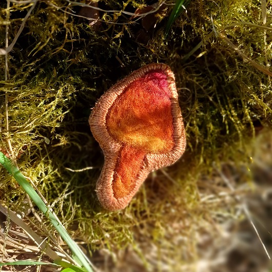 broszki Przypinka z grzybem