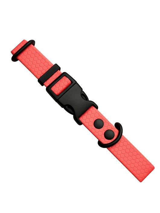 smycze i obroże dla psów i kotów Obroża dla psa regulowana wodoodporna hexa KORALOWA 40-55cm taśma 2cm M