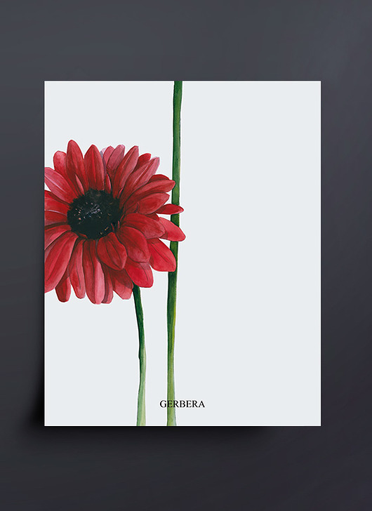 Plakat botaniczny Gerbera Czerwona  40 x 50 cm  ceci bloom