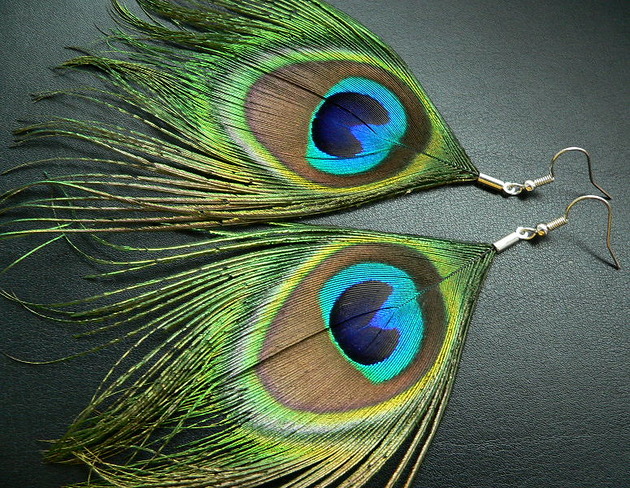 kolczyki z piórami Pawie pióra