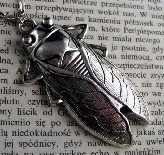 Cykada 1862 Zegarynki