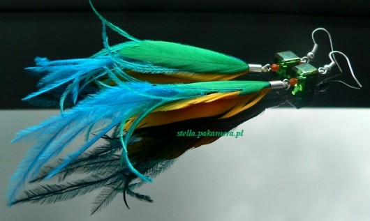 pernambuco Stella