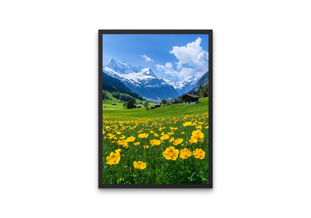 plakaty Plakat - Alpy Szwajcarskie 1