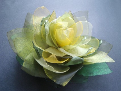 DELILA II SundayRose
