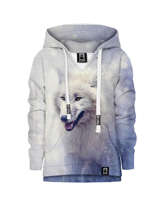 bluzy dla chłopców Bluza Chłopiec DR.CROW Winter Wolf