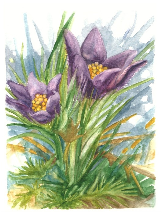 Zestaw dwóch akwareli beata sketches