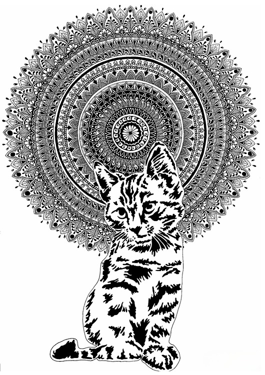 grafiki i ilustracje Mandala nr 21, Kot, reprodukcje