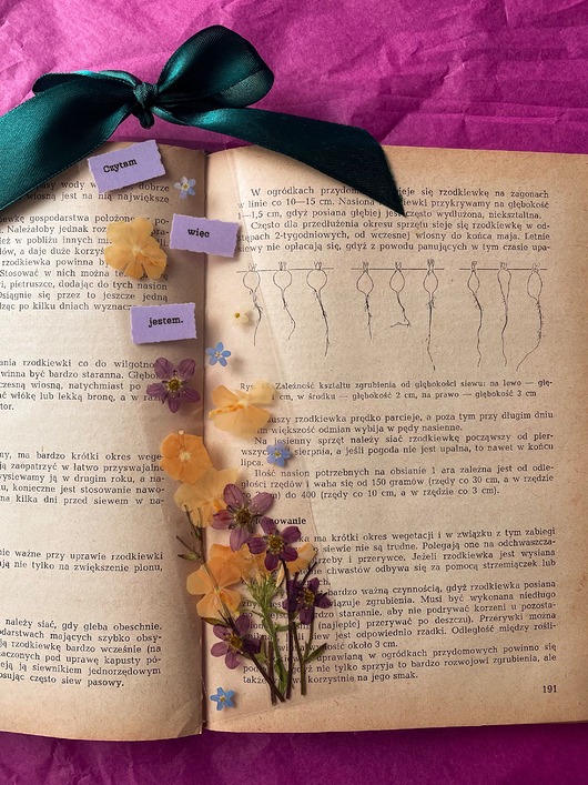 zakładki do książek Zakładka do książki z suszonymi kwiatami