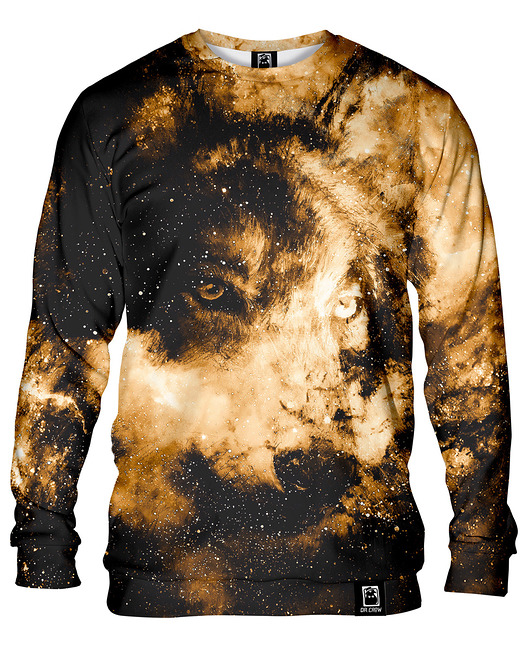 bluzy męskie Bluza Bez Kaptura Męska DR.CROW Space Wolf