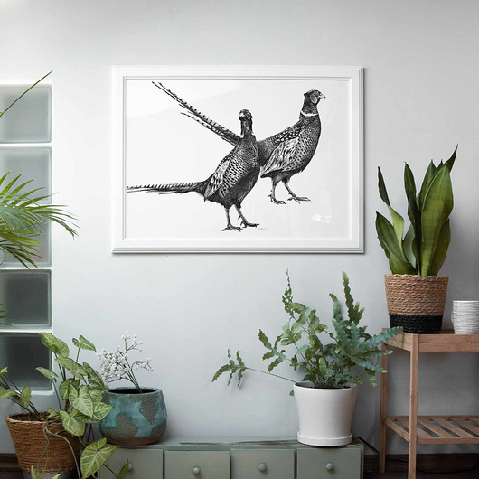 grafiki i ilustracje Bażanty