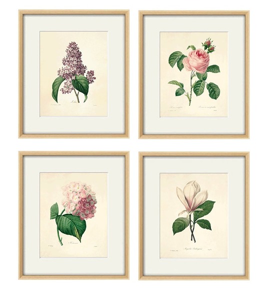 grafiki i ilustracje Rysunek kwiaty grafika motywy kwiatowe magnolia